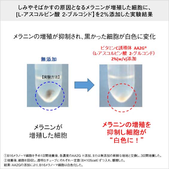 Ｌ-アスコルビン酸 2-グルコシドの実験結果